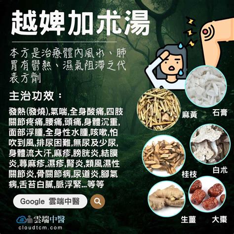 越婢加半夏湯|越婢加半夏湯:組成,用法用量,功用,主治,方義,附方,重要文獻摘要,